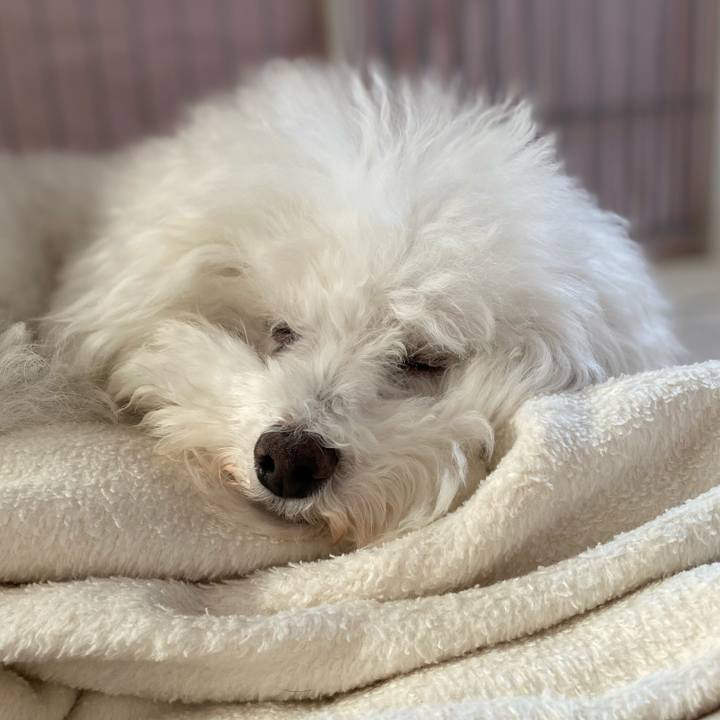 E9aa0d00 f3c0 49b9 a0a1 1c3bf95eb8ec 1607320204176