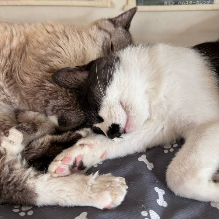 E9aa166a 968a 4e4f b015 150942443649 1747274245127