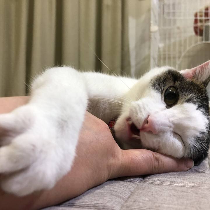 E9aa1bcf 7821 4575 94a0 54fde825a542 1635516921443