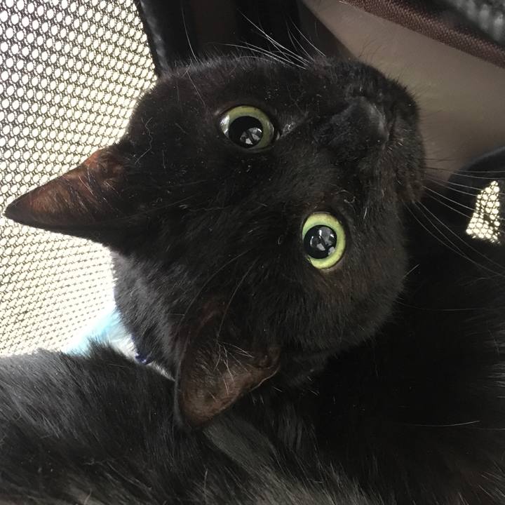 E9aa2273 1c93 4add 820c 0d36db223609 1551494591722