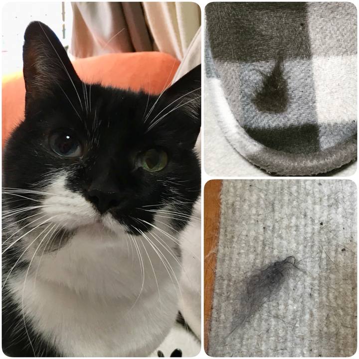 E9aa5fc0 5e7d 4b06 8c17 44d72959381d 1518775245405