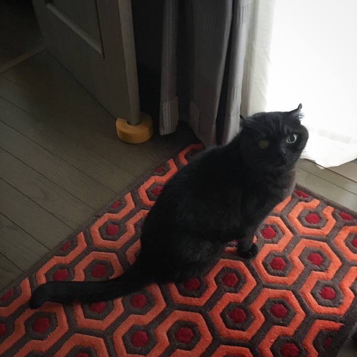 E9aa7fec 5377 4182 bd58 545c9ec8d0f0 1583109722948