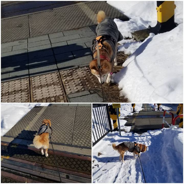 E9aa93f3 d756 4d7f a12e 8410067ec43d 1768204466649