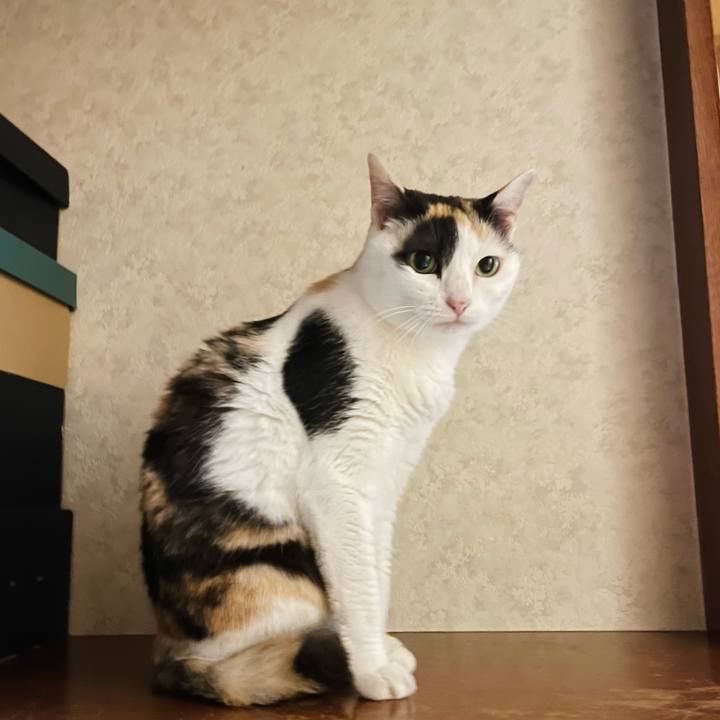 E9aaa379 fa56 4181 893b c48e7448335c 1658029673420