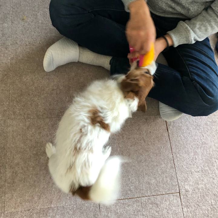 E9aaa823 a519 4956 b7a9 597fb052e6a3 1554030797301