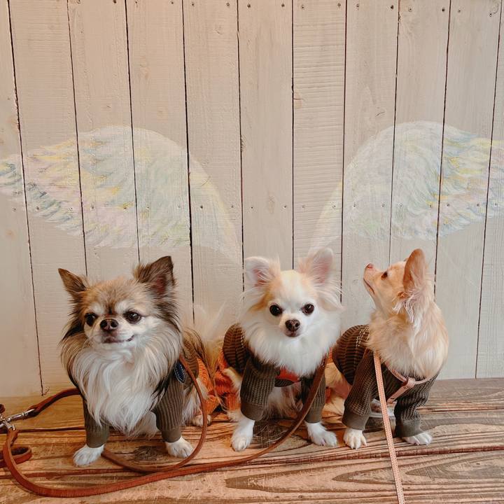 E9aabd45 226b 4b47 9b83 5642f365c57f 1669461595732