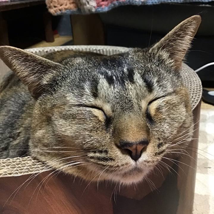 E9aae0b2 cfaa 4047 aa3a 2a32ad5aeccd 1701331952586