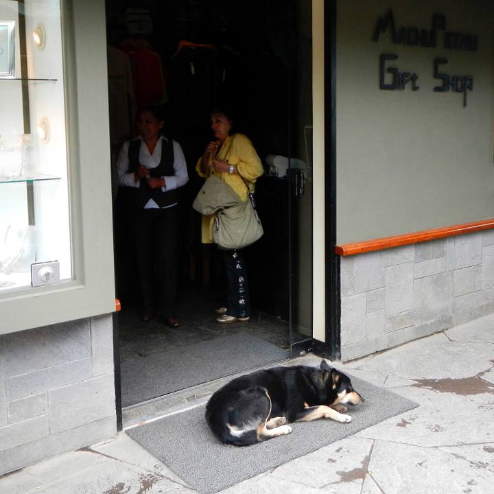 E9aae842 78c8 4e07 90ff c44b35cc2969 1535550322863