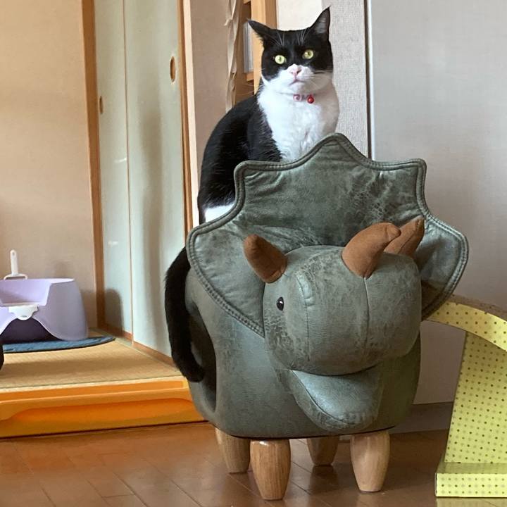 E9ab241d fb27 47c2 81a0 38ab8b74643f 1602388732125