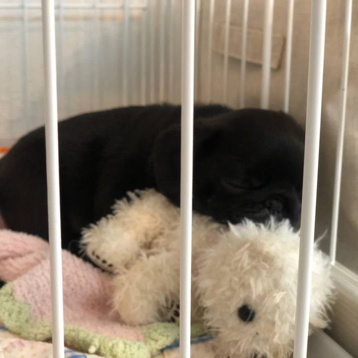 E9ab2a60 e122 4dee bf94 b1ca3faa9536 1586736718259