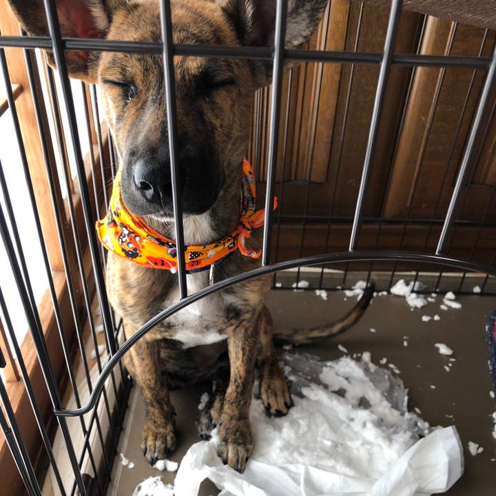 E9ab3089 1121 4bd4 ab50 a31221845513 1572059508658