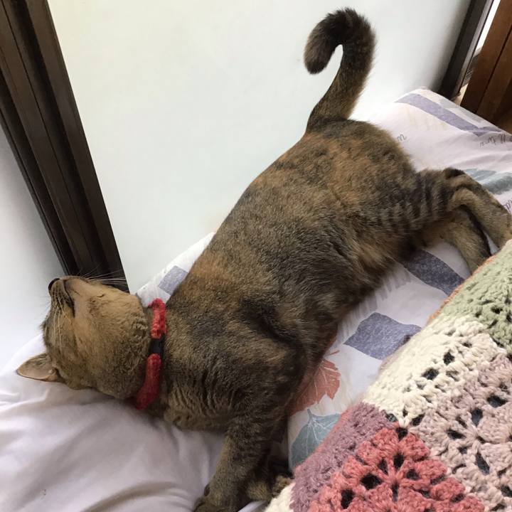 E9ab5b95 e9d6 487a 8c49 2f73ee8d209d 1598256193254