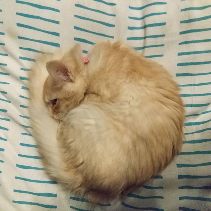 E9ab5ee7 d8ea 4c62 ace9 ee71c440e469 1608675058682