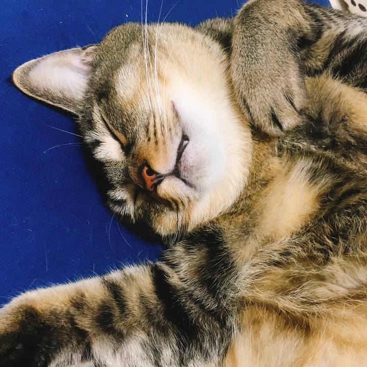 E9ab7c91 9972 4495 b316 24735c0a8c69 1537352073814