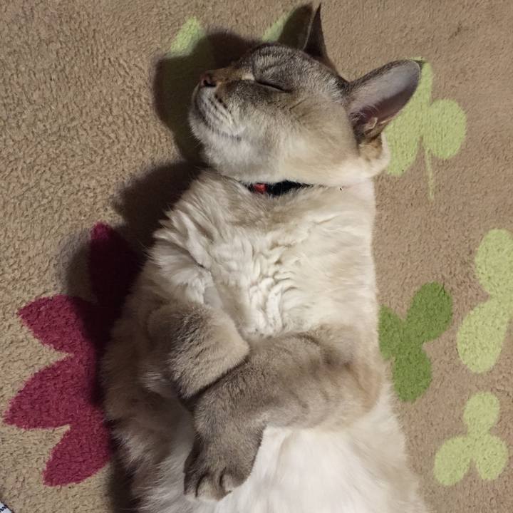 E9ab8687 157d 4da5 b862 ee1343bba844 1542630521982