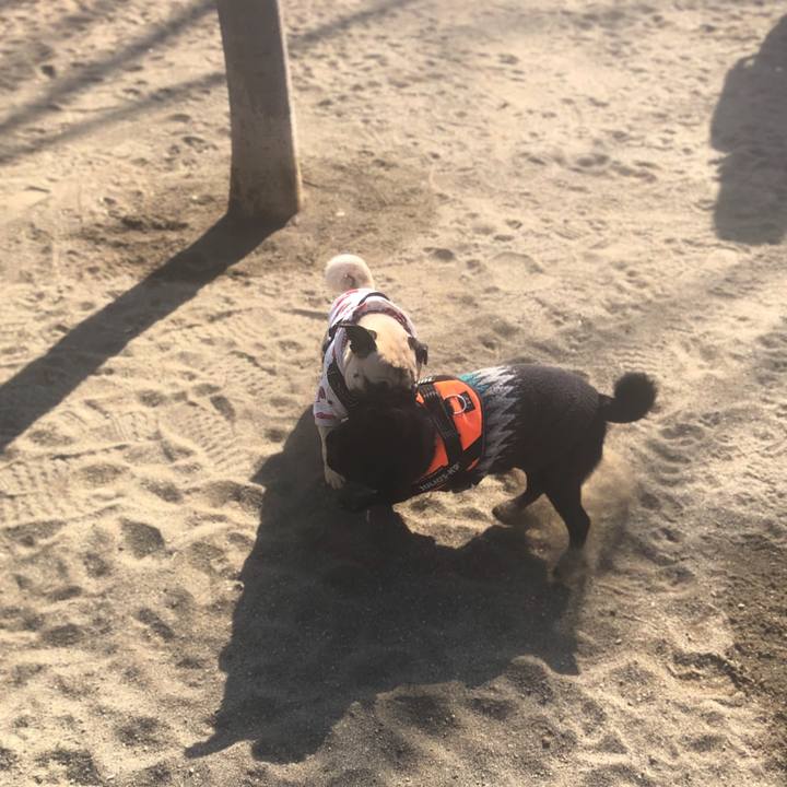 E9ab87b4 9b1f 46aa b443 daefadf40319 1613269655537