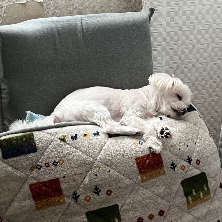 E9ab9821 23f4 4c41 9dfa fb6691e707d0 1726983121246