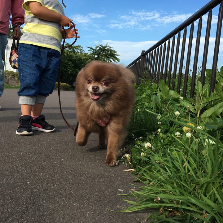 E9aba511 788e 4cdd a93e e1ce3379223f 1529842688713