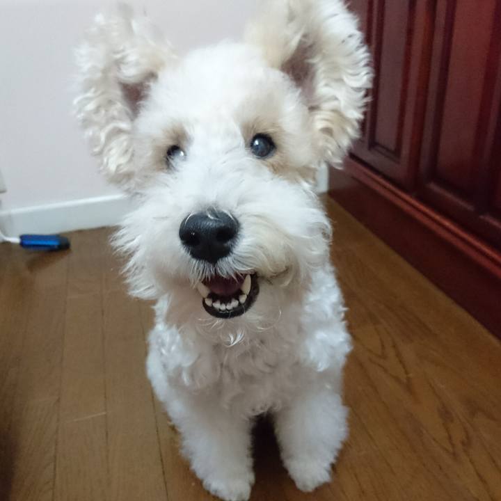 E9aba6a3 7c0e 4503 ba2f a961c0ef24c2 1515720239513