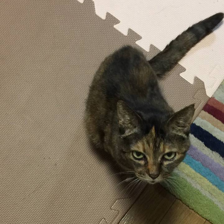 E9abada5 1f7b 4b06 b8f1 17ff90dd3724 1545134314664