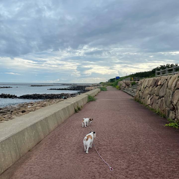 E9ac2144 7cb3 495c a8e3 4b10a3256c98 1627428027903