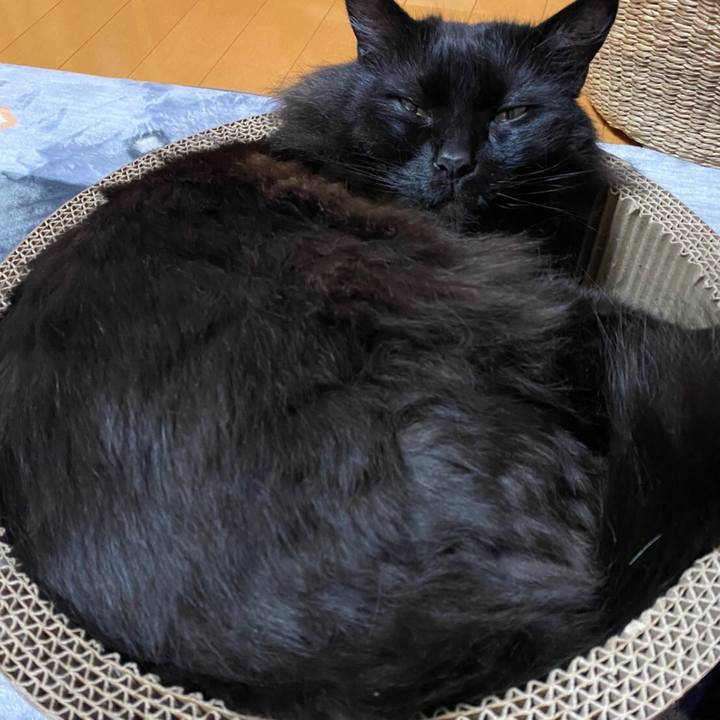 E9ac2401 c2e5 4ad5 9719 1af45e170386 1583585911708