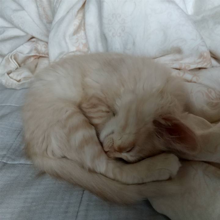 E9ac36c5 cef3 4883 90b8 7fc91128267d 1603163718695