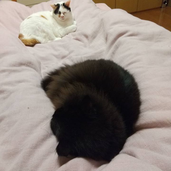 E9ac9f73 68b5 4e59 ac49 c148f47d4aab 1698678570233