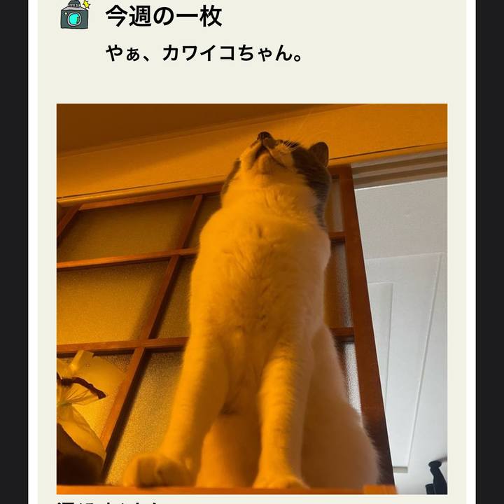 E9acbba7 ef0a 4b92 90b8 c7a812c7feb6 1749018921820