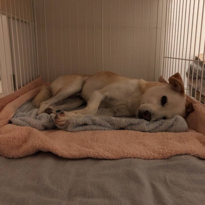 E9acbff6 569c 45ad ba08 9e71702d4baa 1628638228514