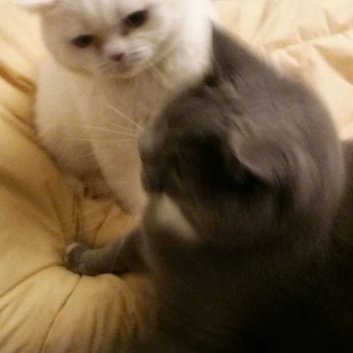 E9ad3f4b f1c2 4cb4 9957 321f559186e7 1589084544232