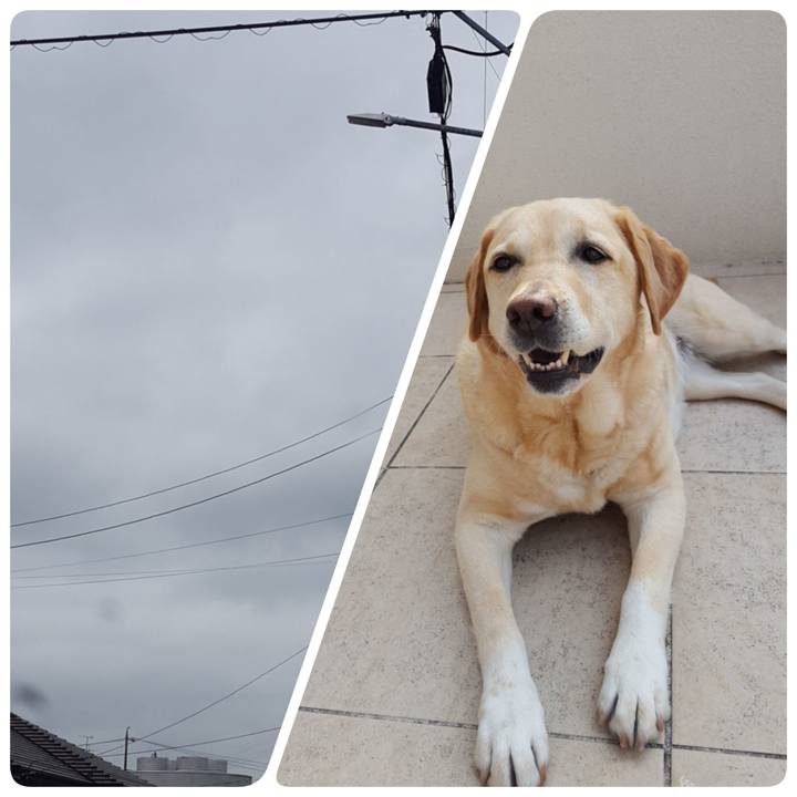 E9ad563a 2691 4cda 80f2 bb1d18852856 1594286193458