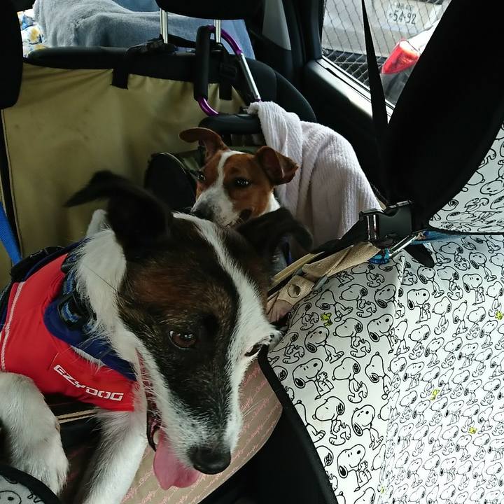 E9ad6c70 cdf0 498a b117 4b20985fe769 1533944739555