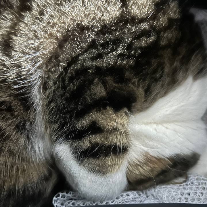 E9ad8797 e8f1 4b59 8d01 060b5a460dcb 1772752776533