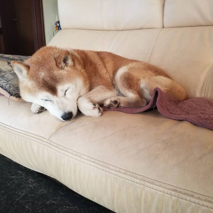 E9ad9879 1a24 43a9 8ed8 2ce03b3457f7 1734047621165