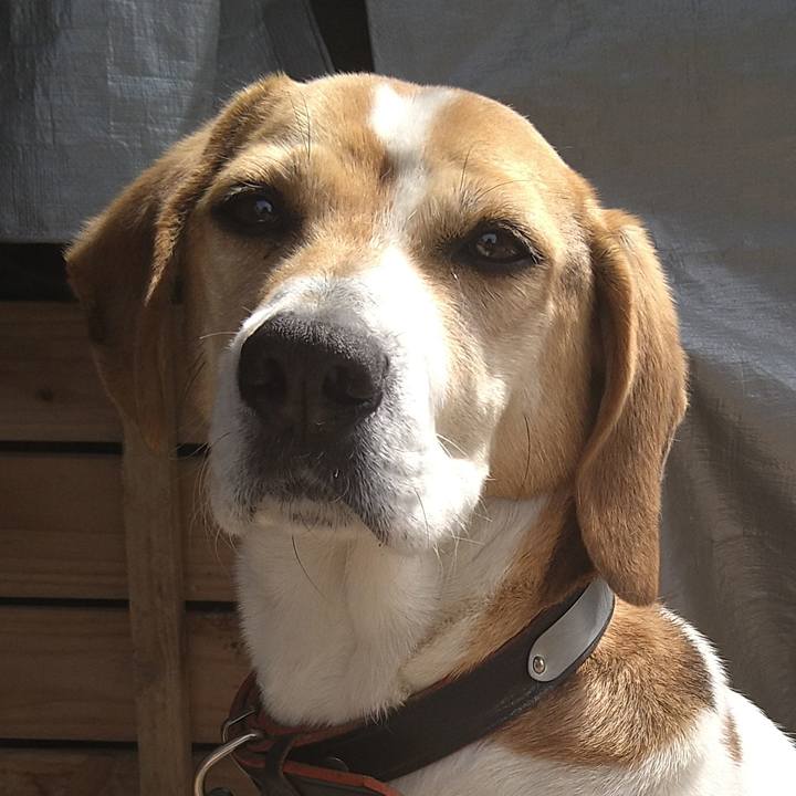 E9adb532 cf1b 4108 ae27 4300f8c3633a 1660459069737