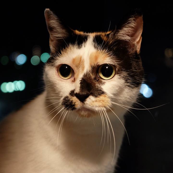 E9add652 ce2f 4b6b 8aa6 f27201273ee1 1551085595751