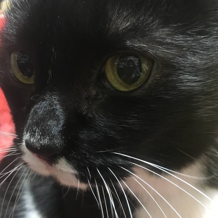 E9adf495 62dd 4aff b922 af51f87aa94c 1518431416755