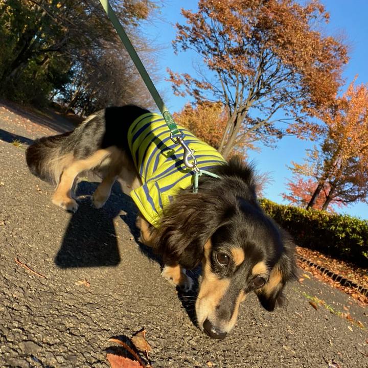 E9ae2770 7bca 427e 9829 1676f36554d0 1700611645146