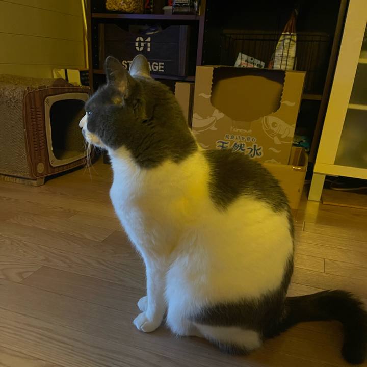 E9ae4b60 505f 407c 9c0d 2363328c791f 1743893044843