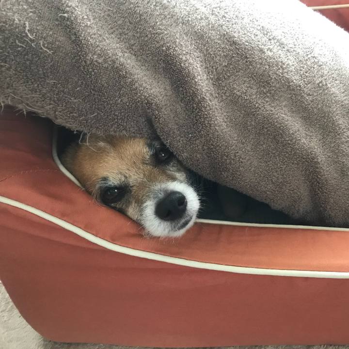 E9ae5c83 6d72 4a83 846f deecd247ea2c 1529731181611