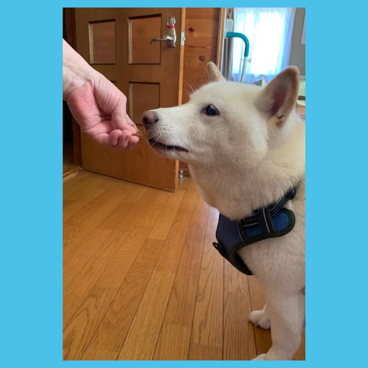 E9ae8265 f196 40e0 b575 064cdba4f13d 1628826041565