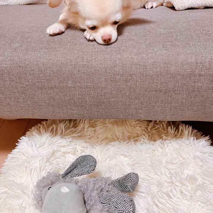 E9aeba81 abd2 4b09 8ddf e2458f10fd46 1670315229953