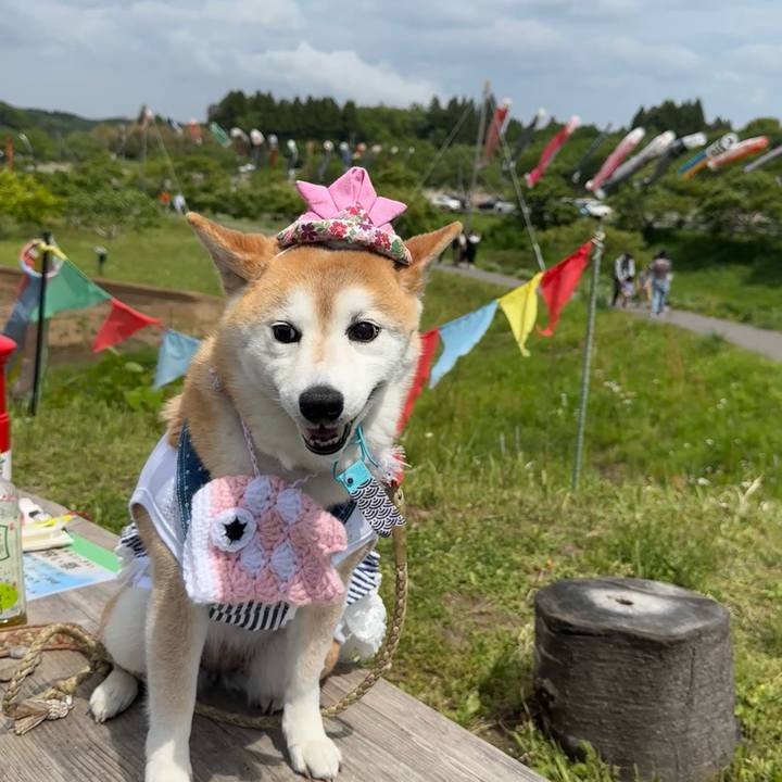 E9aecda7 3aa7 4506 8c1e 4520f4f281f5 1746573660417