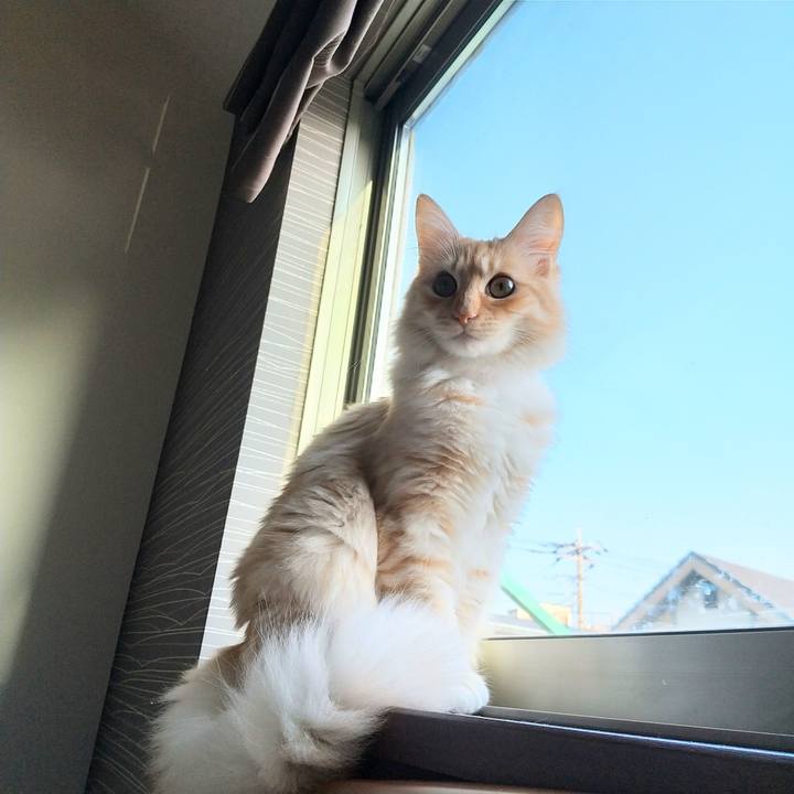 E9aee28e 42c3 46d9 9a39 b04ce93f8dca 1618705299983