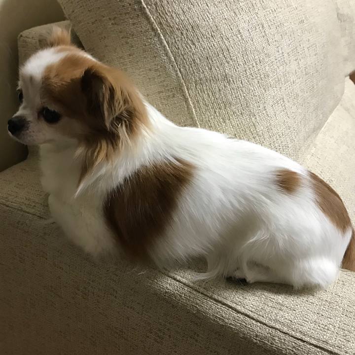 E9aefbfe d095 4b41 b247 b7178a3eba9e 1533076694836