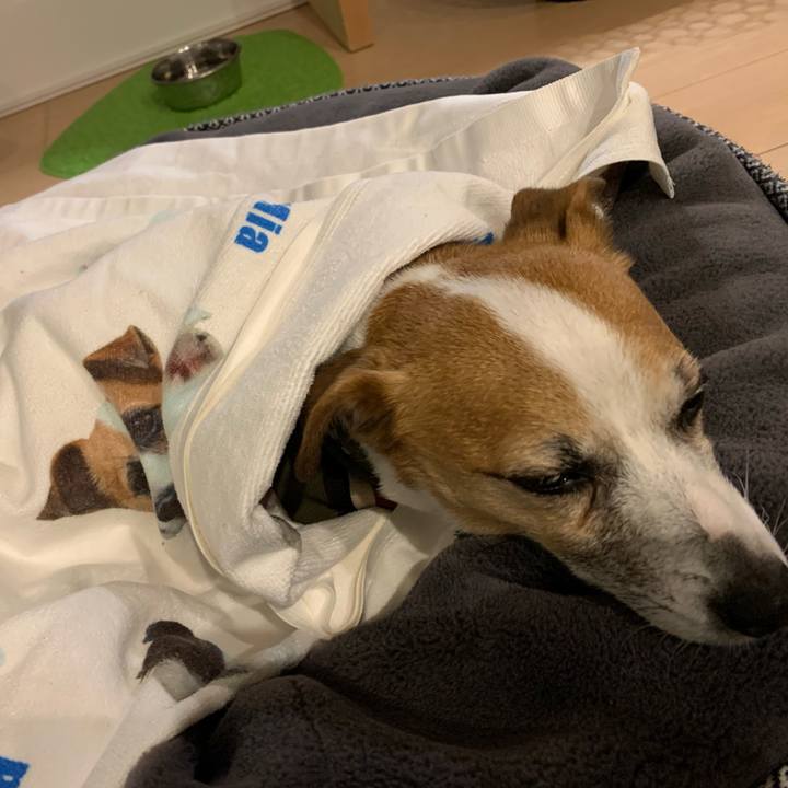 E9af1015 6caf 4747 89d2 fe5e628d4bfa 1643197144421