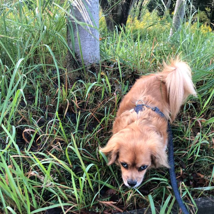 E9af2765 7aa5 4b59 b667 5b4e435fada4 1571090753392