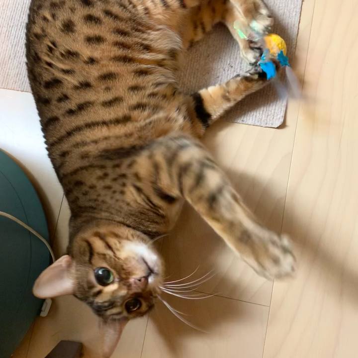 E9af3a96 0274 4f5c adbd 925855a7d3fa 1612144557132