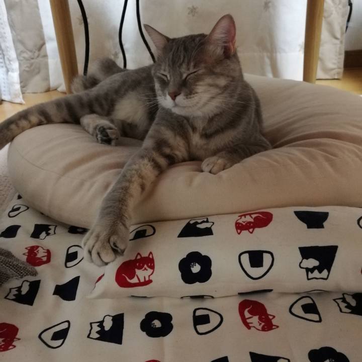 E9af625d 48bd 4d28 b966 17a36a51a1a2 1524920333319